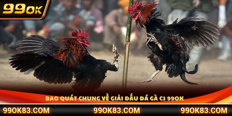 Giới thiệu loại hình đá gà C1 99OK