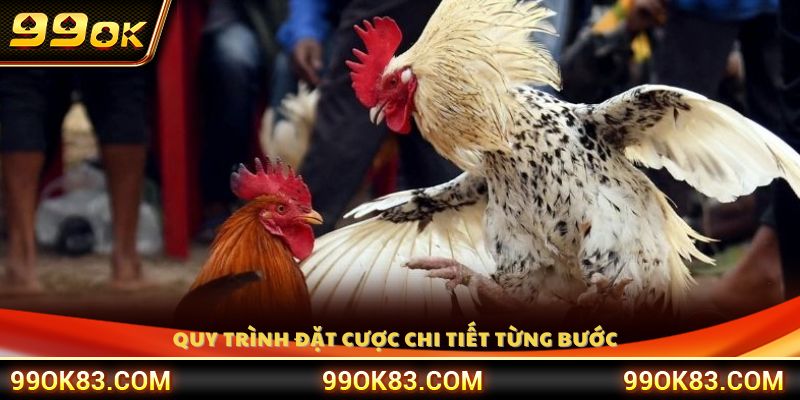 Các bước thực hiện cược chi tiết