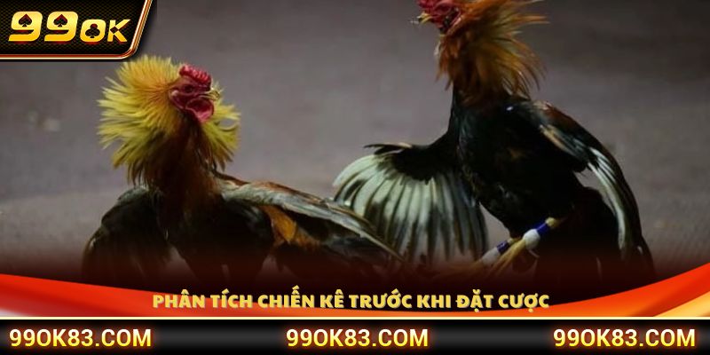 Đánh giá kỹ thể lực và phong độ chiến kê